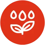 Linie kroplujące
