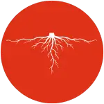 Regulatory wzrostu