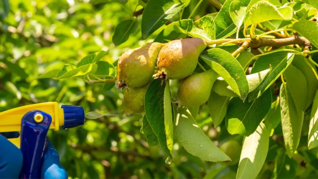 oprysk środkami ochrony roślin