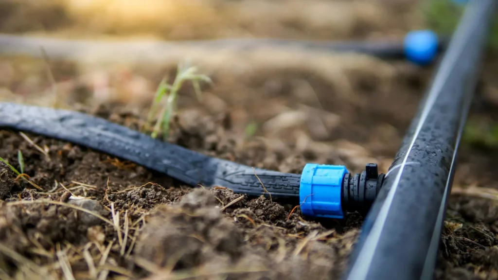 Systemy nawodnienia w ogrodzie i sadzie – jak dobrać najlepsze rozwiązanie