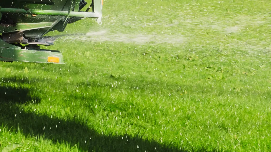 Jakie składniki nawozów posypowych wybrać dla sadów i gleb wokół Grójca