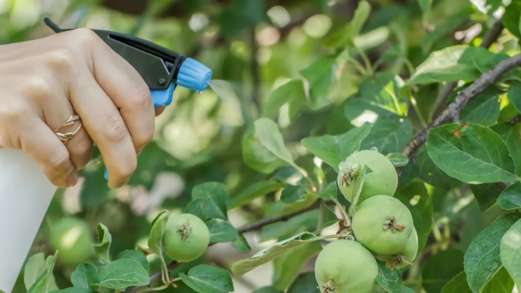 Szybka pomoc dla roślin w stresie i okresie wzrostu dzięki nawożeniu dolistnemu