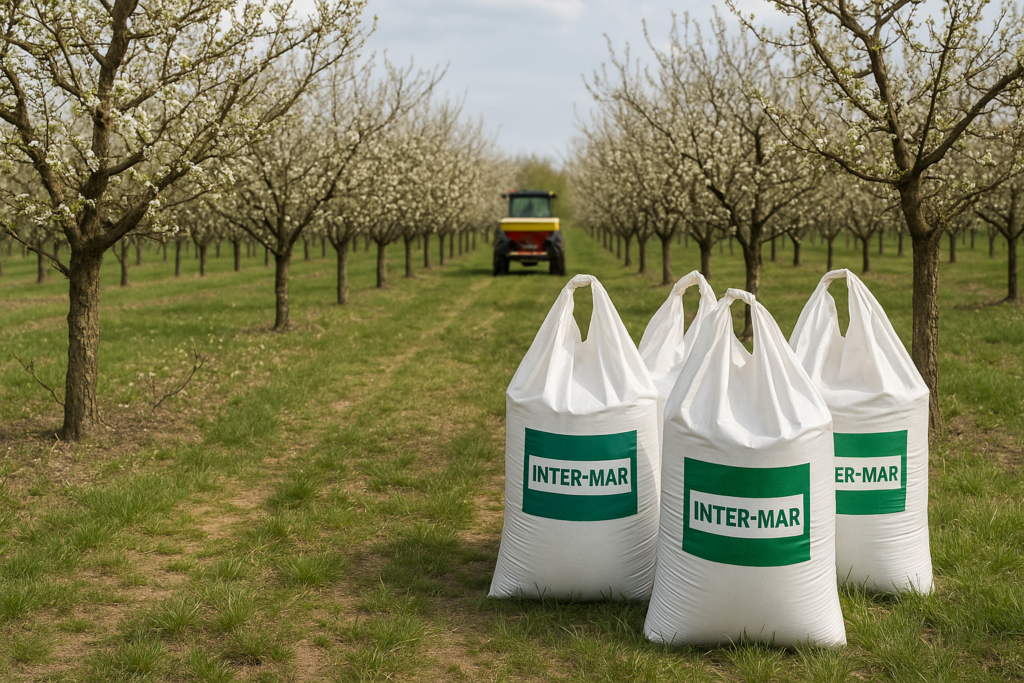 Sad jabłoniowy w Grójcu podczas wiosennego nawożenia nawozem granulowanym